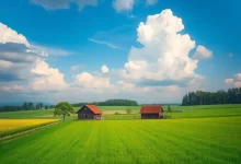 Photo of Сельский пейзаж: красота и умиротворение