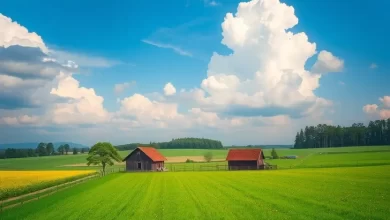 Photo of Сельский пейзаж: красота и умиротворение